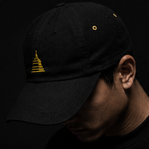SIGNAL CAP